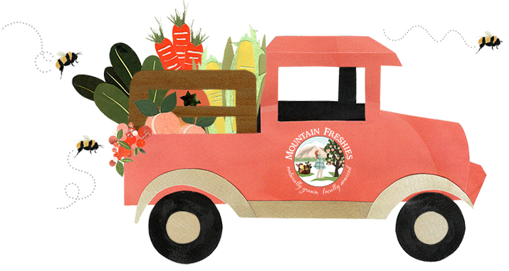 Illustration of Mountain Freshies delivery truck